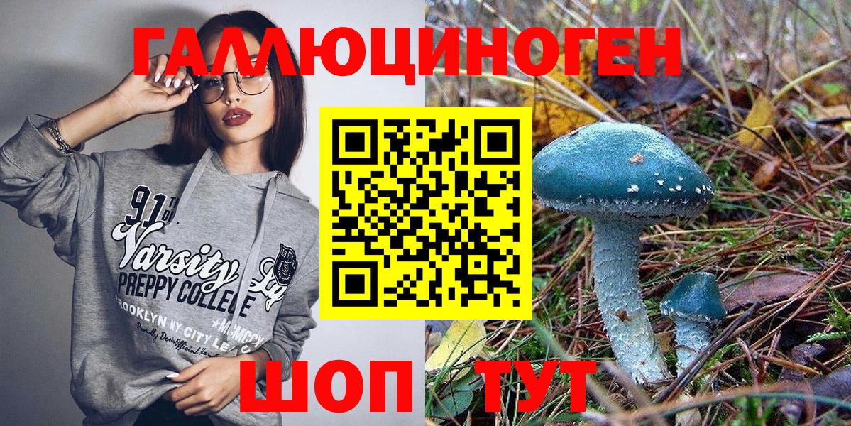 дарнет шоп  Псилоцибиновые грибы Cubensis  Вход с VPN  Бирск 